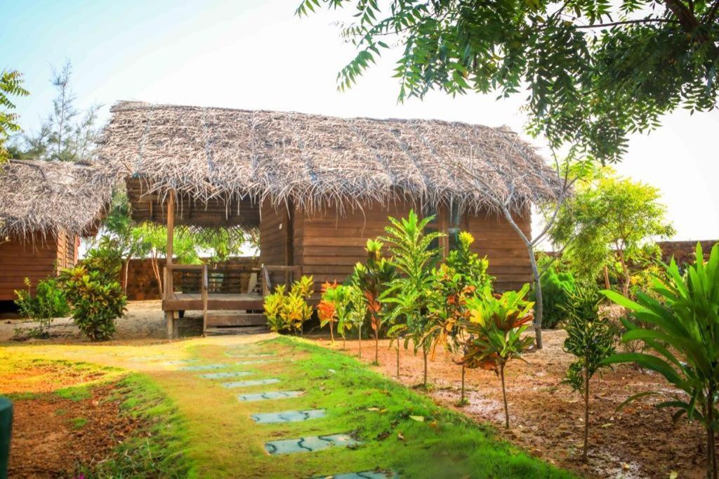 Whisky Point Surf Cabana 阿鲁甘湾 外观 照片